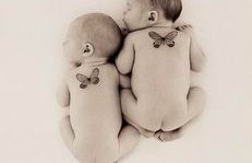 试管婴儿鲜胚和囊胚的区别是什么？鲜胚囊胚是什么？