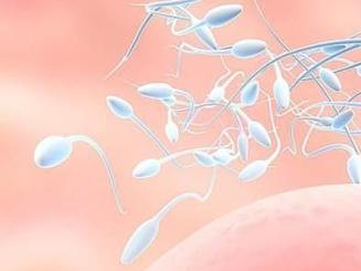 汝州私立机构试管费用一般都很贵吗？