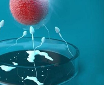 禄丰市生孩子做染色体检查有必要吗，筛查一次大概需要多少钱？